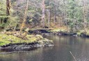Photo of ward lake trail